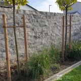 Travertine walling stones Silver - 6