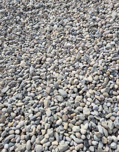 Rheinkies | 16 - 32mm | bunt